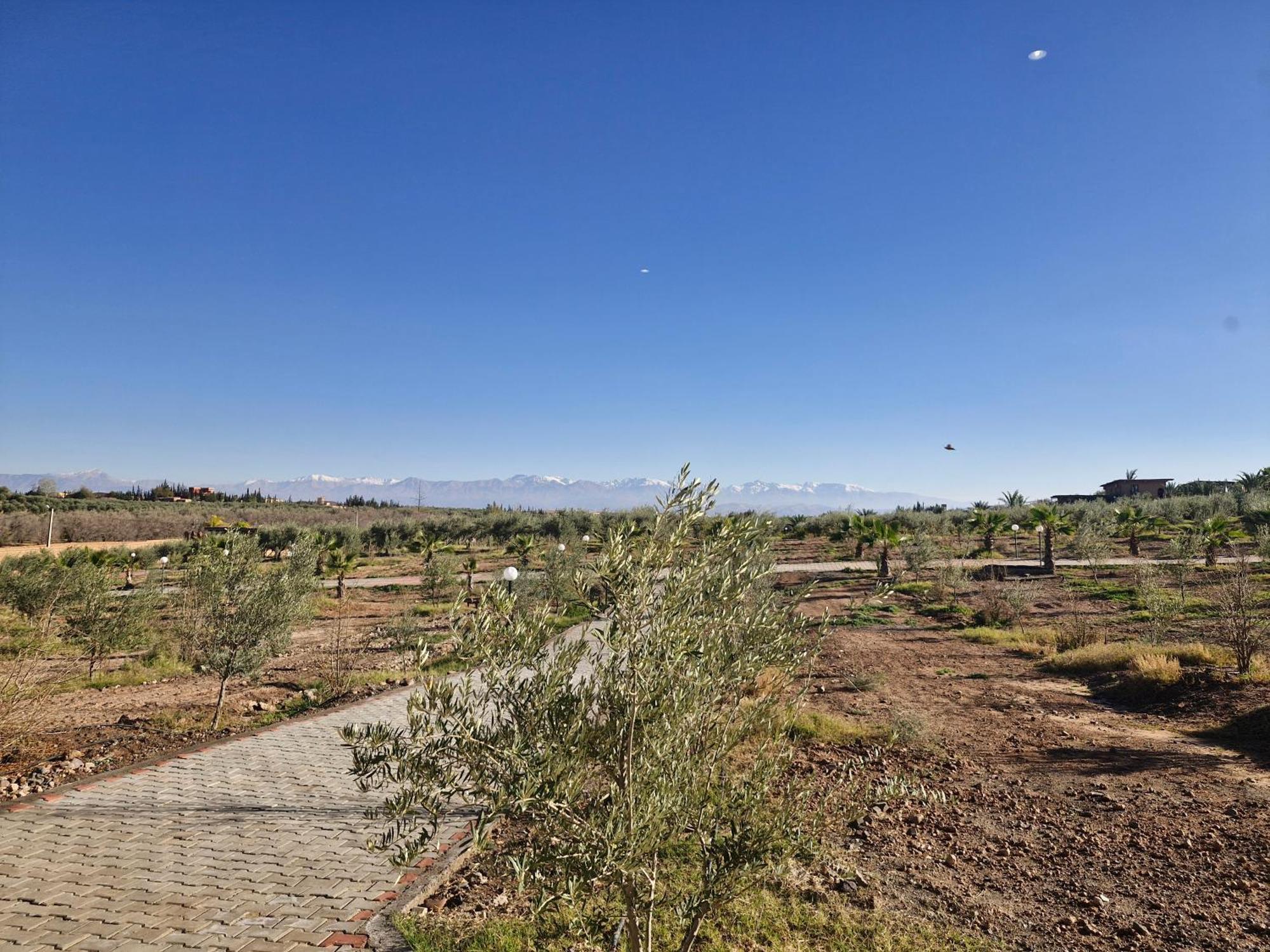 Le Parc Des Oliviers Hotell Hrabil Saâda Exteriör bild
