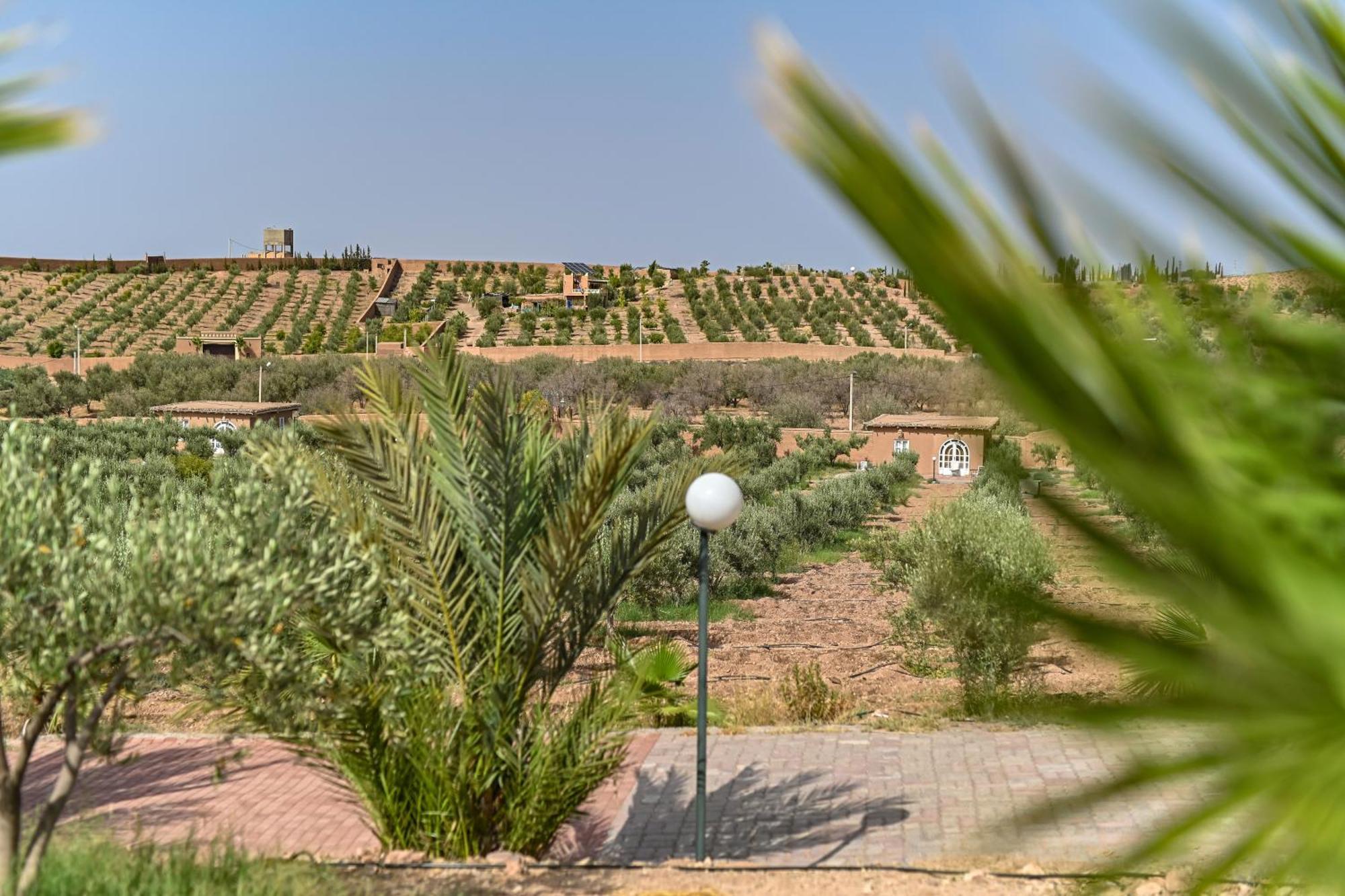 Le Parc Des Oliviers Hotell Hrabil Saâda Exteriör bild