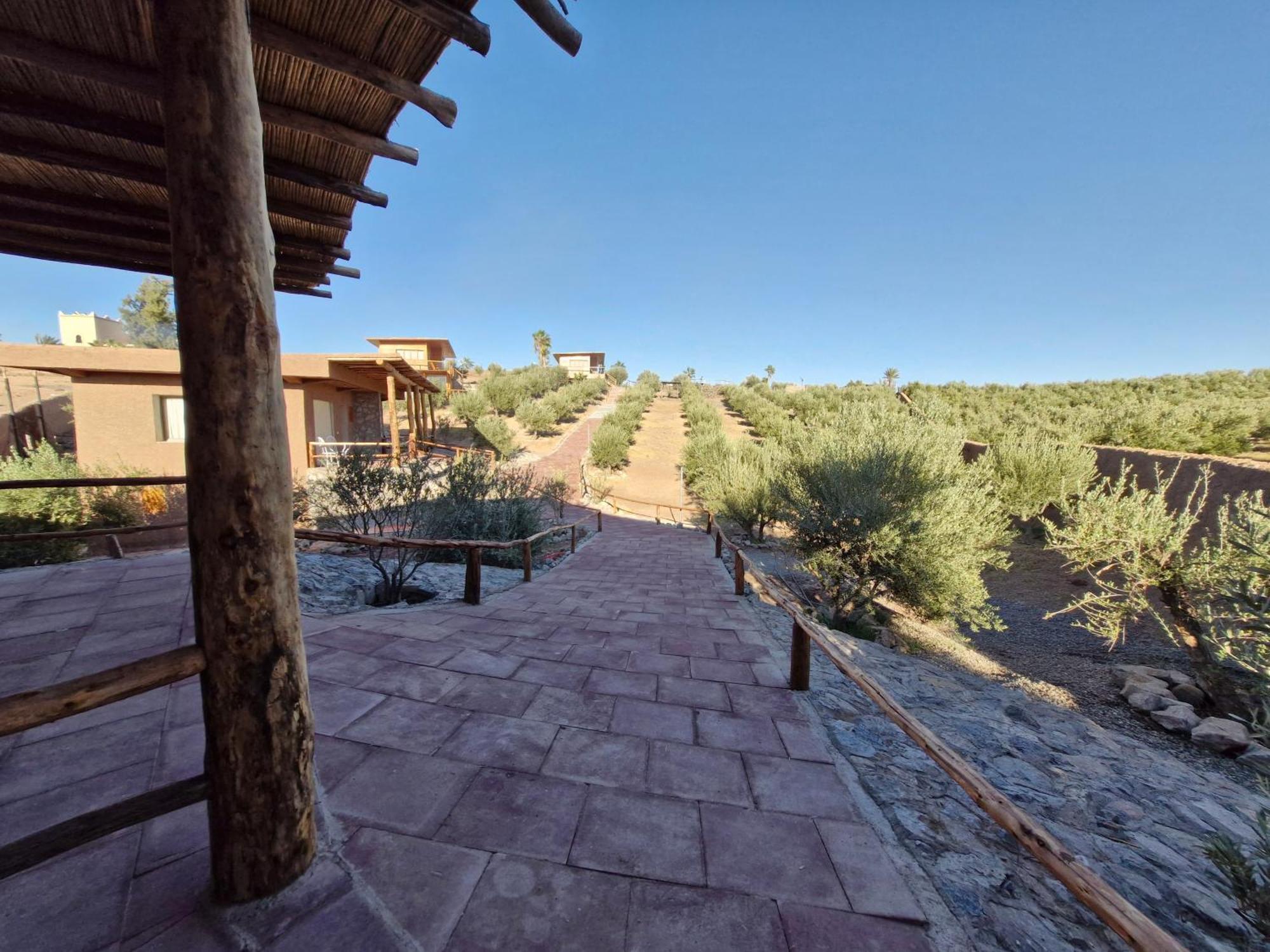 Le Parc Des Oliviers Hotell Hrabil Saâda Exteriör bild