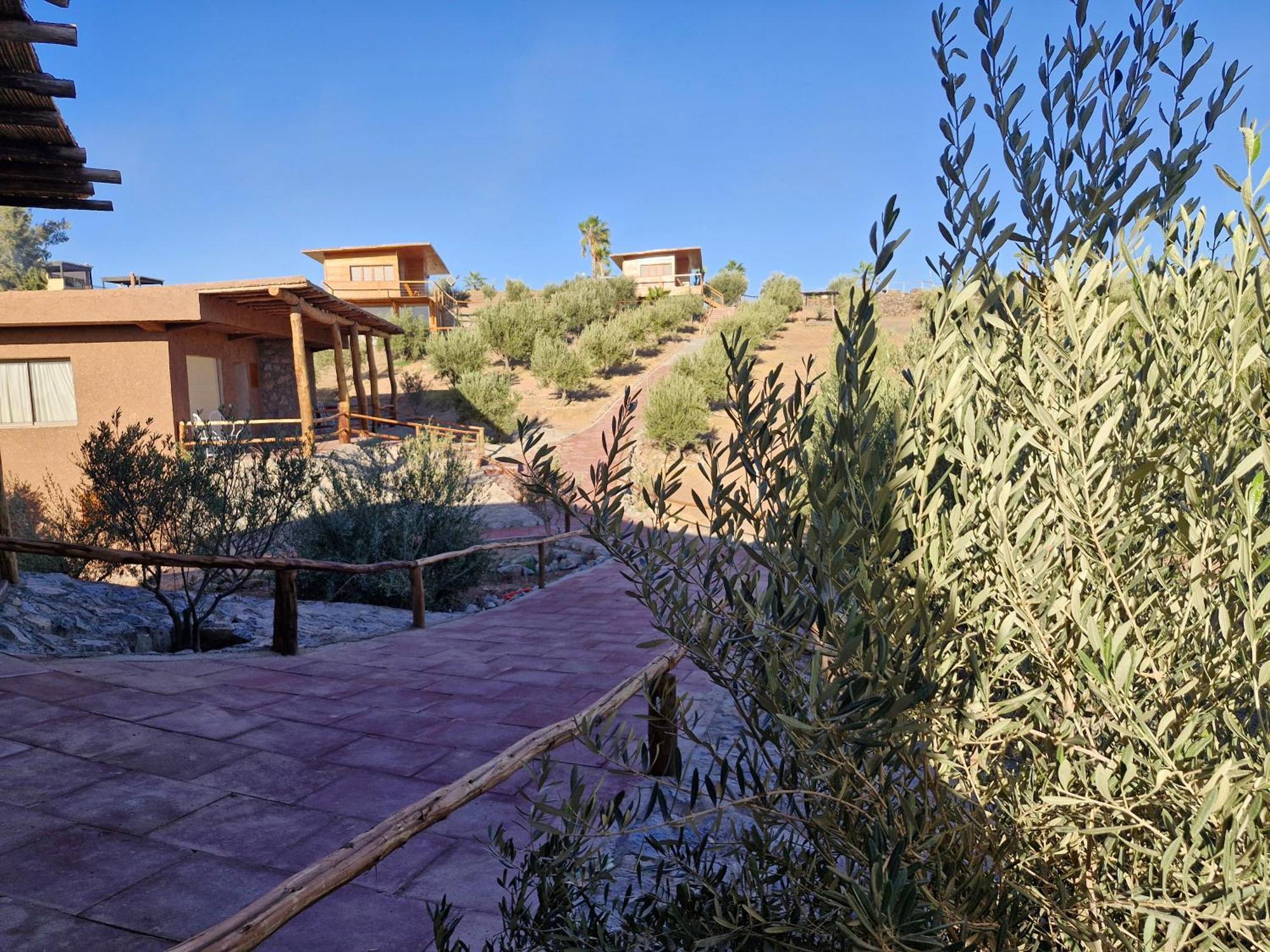 Le Parc Des Oliviers Hotell Hrabil Saâda Exteriör bild
